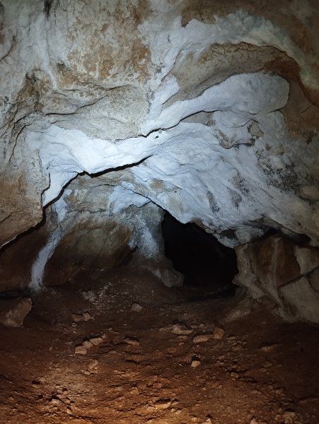 Chevannes - grotte de Chevannes - intérieur cavité photo 3, Aurélien Bloch.jpg
Sèche dans la zone d'entrée, ela cavité présente un joli concrétionnement vers le fond, ou le comblement argileux (rouge) devient important, notamment dans le boyau final qui s'incurve sur la droite.
Fichier manquant